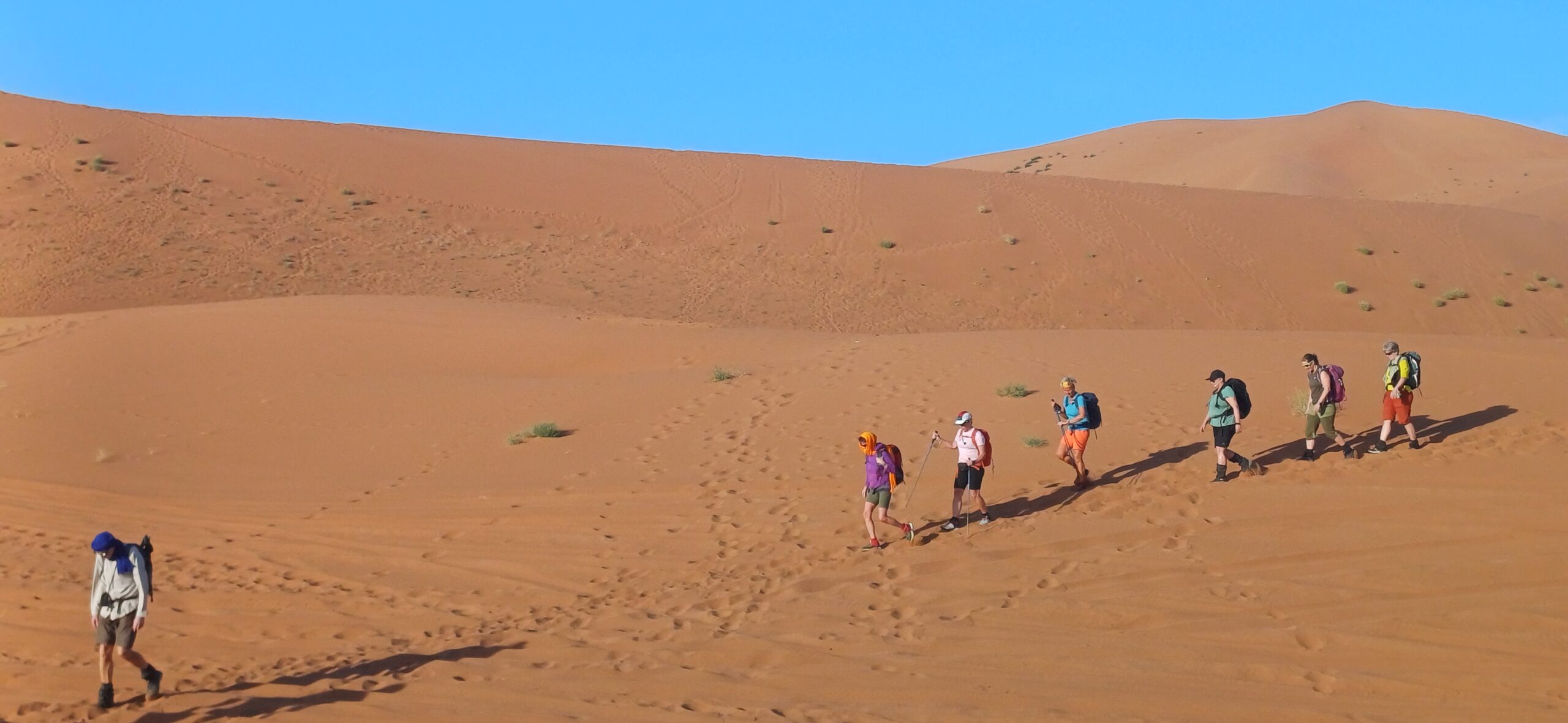 20250227_081103-scaled